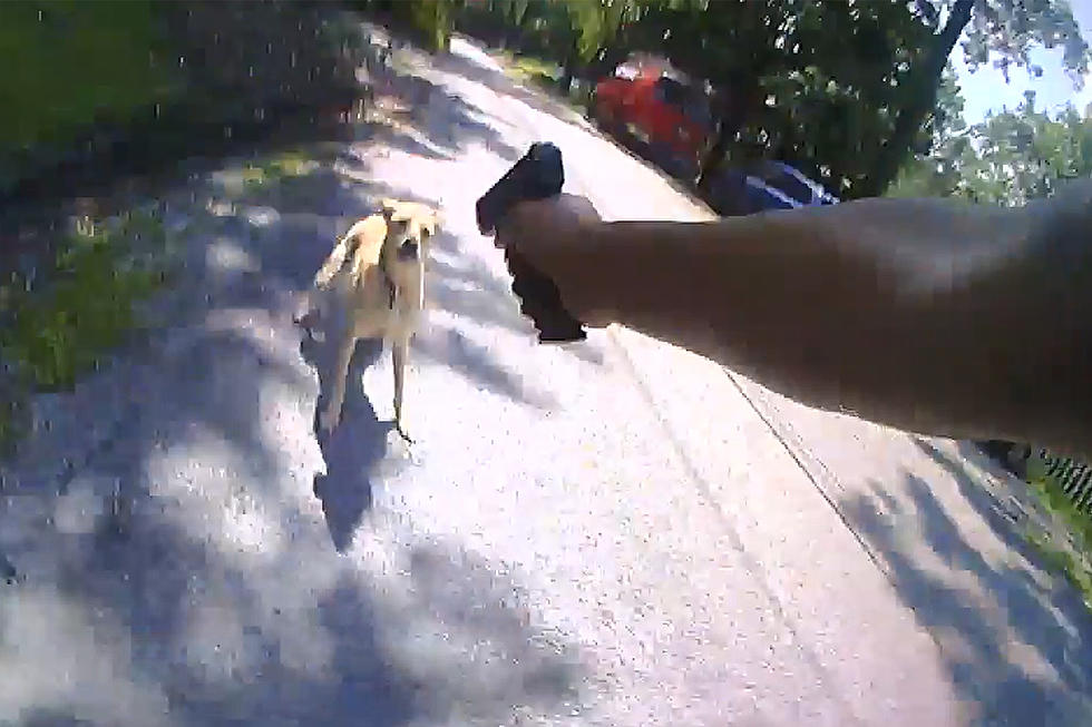 Body Cam Shows Moments Before Cop Shot, Killed Pet Dog