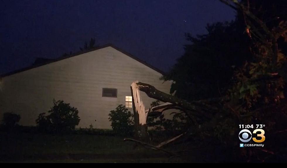 NJ town’s 2nd tornado this year uproots and snaps trees in half