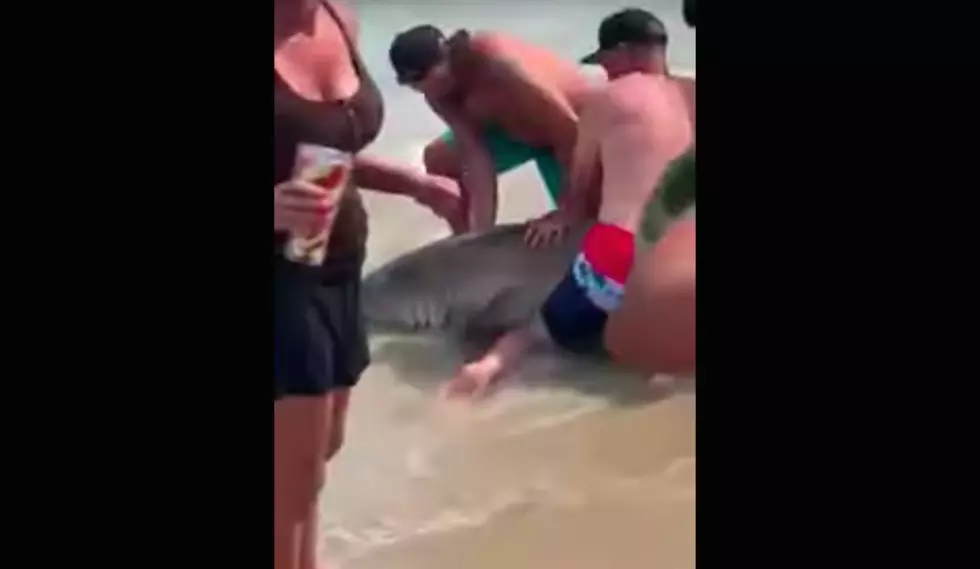 Check out this 14-year-old reeling in a 7 foot shark on LBI
