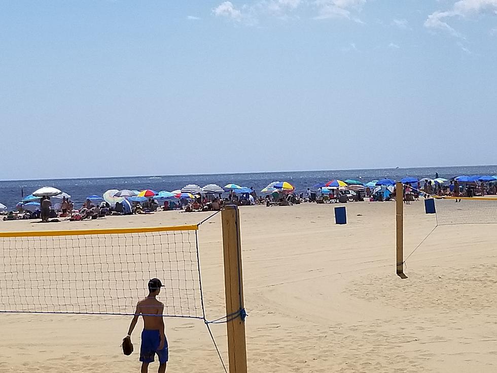 Jersey Shore Report for Thursday, August 15, 2019