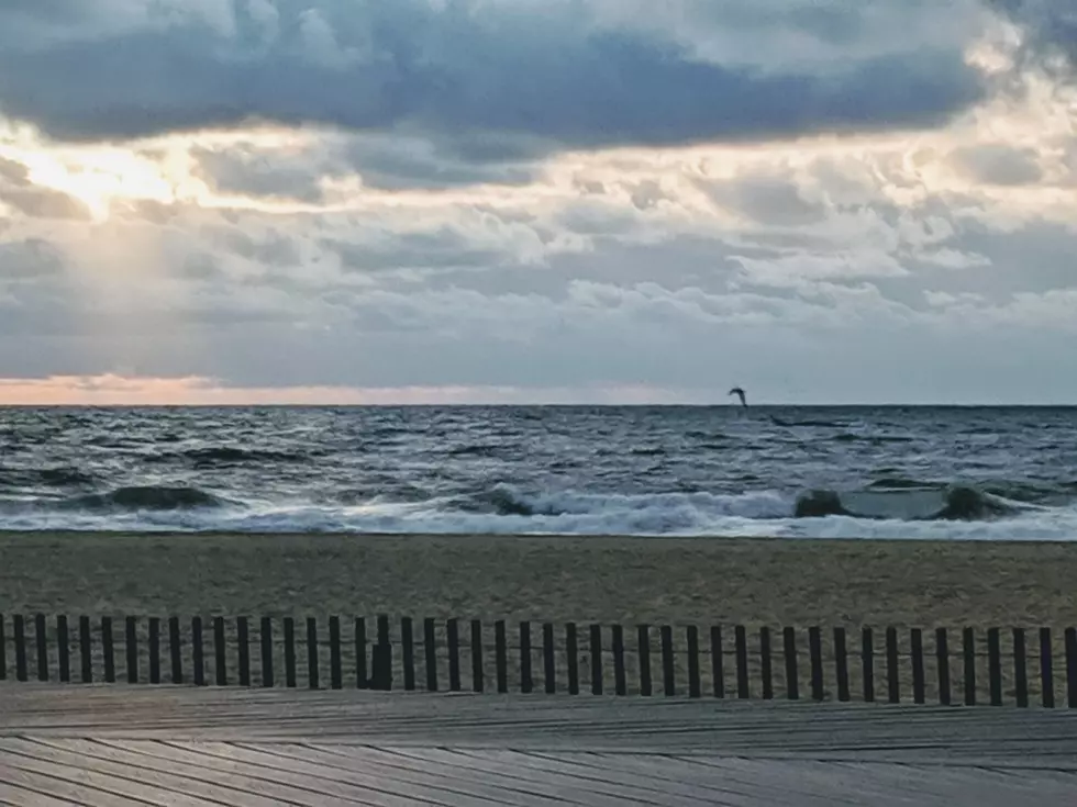 Jersey Shore Report for Wednesday, August 28, 2019