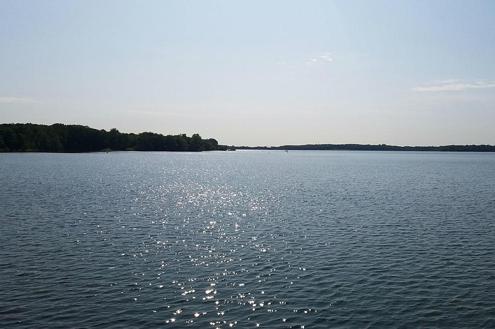 Harmful algal blooms in NJ reservoirs — Is drinking water safe?