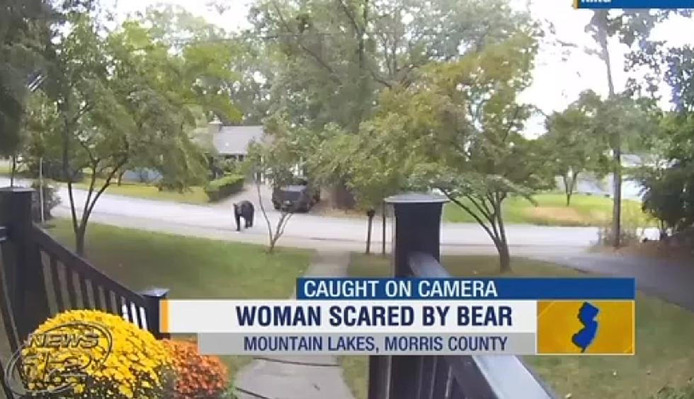Video of a woman and a bear running away from each other