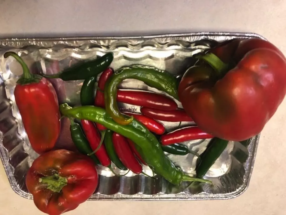 What to do with all of your Jersey peppers