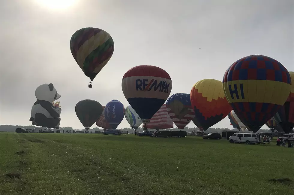 Will Festival of Ballooning be grounded in 2020?