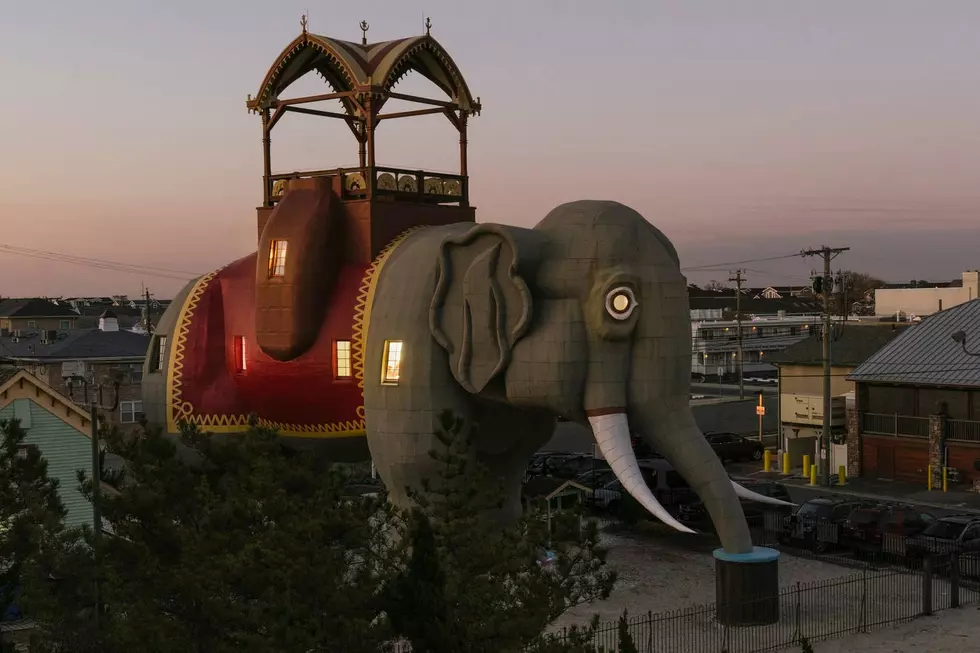 Who in their right mind would spend $138 to sleep in an elephant? (Opinion)