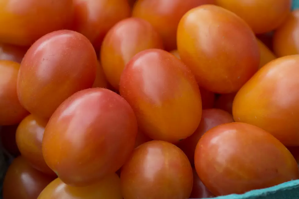 Rutgers creates new tomato with unique color 