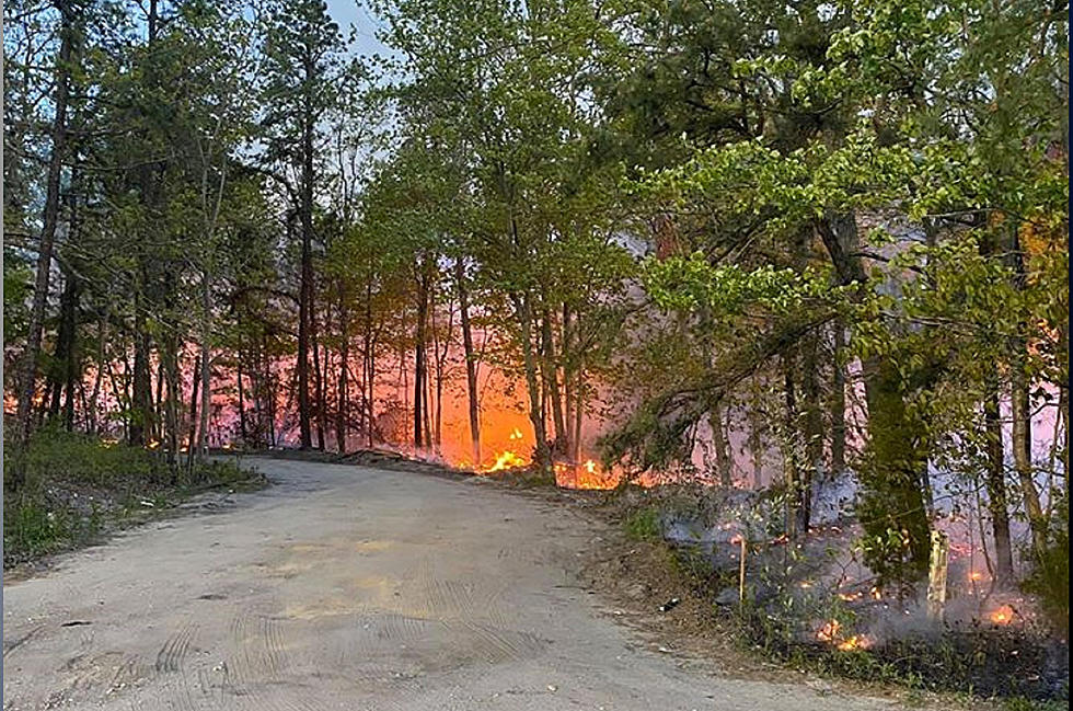 Forest Fire Burns 750 Acres in South Jersey, Sends Smoke to Maryland