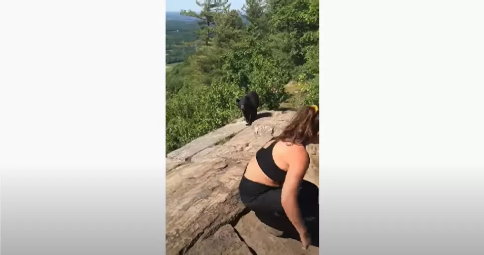 Watch calm NJ hiker walk away from a bear