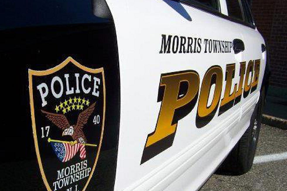 Cops kill son of Morris police official in 'domestic disturbance'