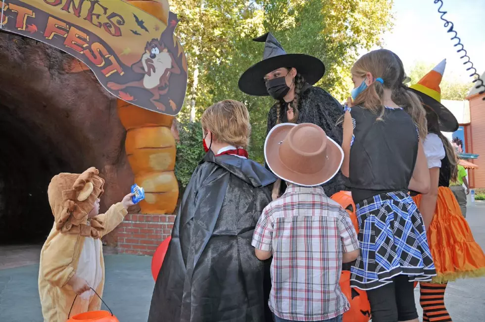 How to apply for HALLOWFEST jobs at Great Adventure