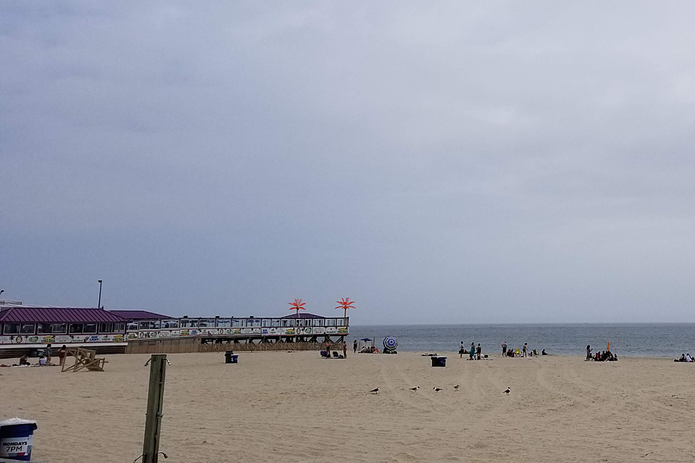 Jersey Shore Report for Saturday, August 8, 2020