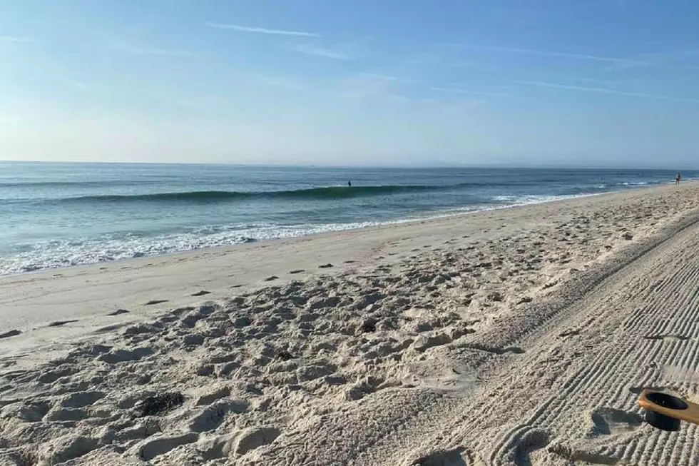 Jersey Shore Report for Monday, August 10, 2020
