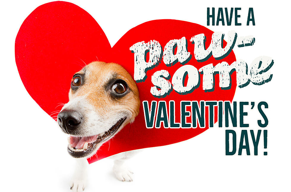 Have a paw-some Valentine’s Day: Win a $50 gift card!