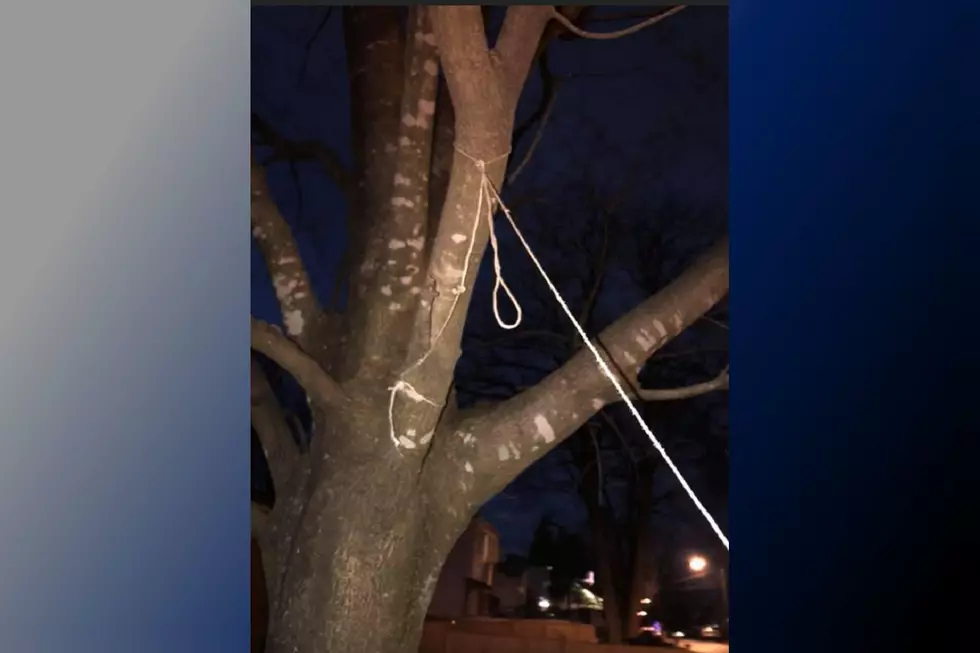 Fair Lawn front yard 'noose' not easily explained as cops thought