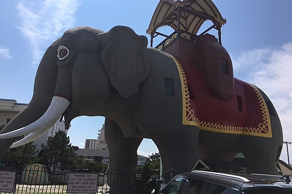 Lucy the Elephant’s renovation is taking longer than expected