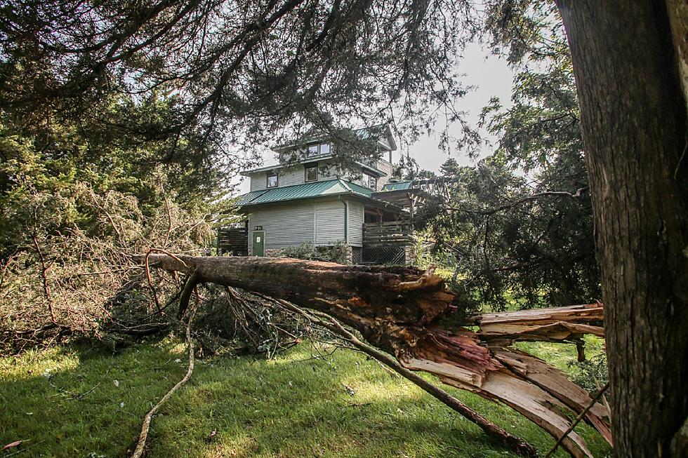 5 tornadoes confirmed in New Jersey from Thursday storms