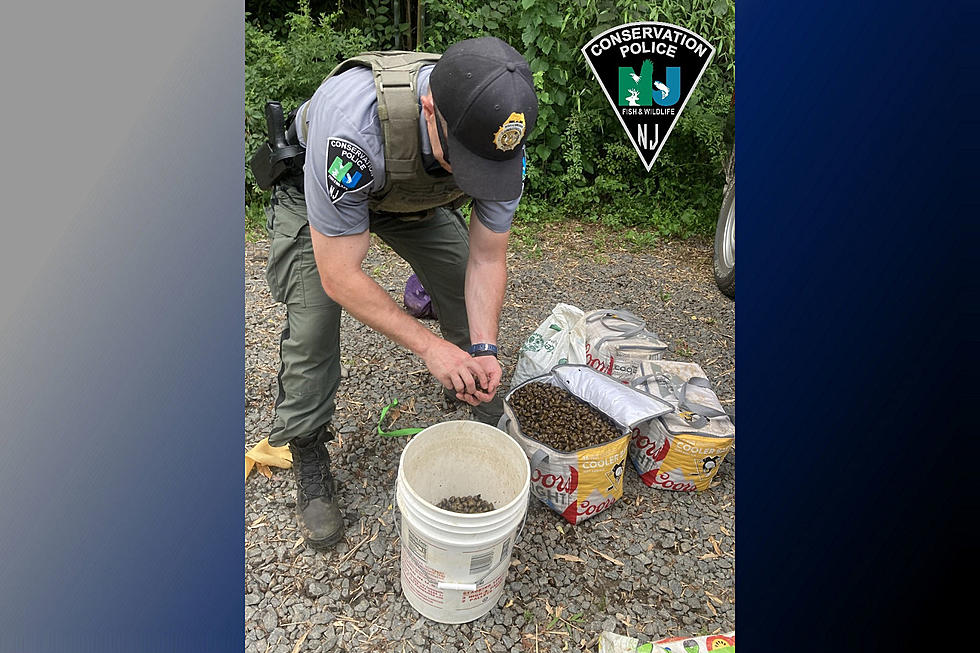 NJ Fish & Wildlife cops confiscate 64,000 bad clams