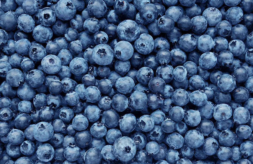 Free blueberries going out to NJ shore visitors on Friday