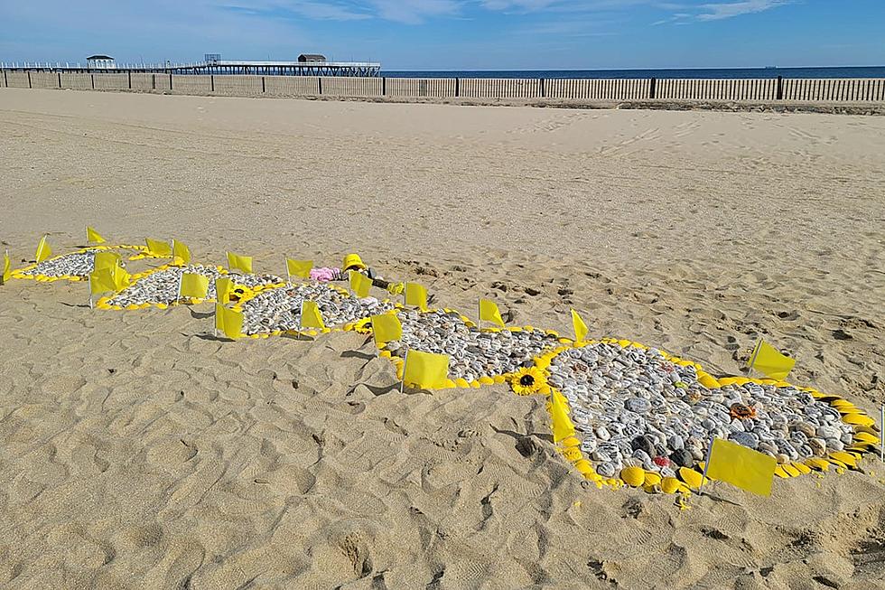 Wall, NJ welcomes Belmar beach COVID memorial to permanent home