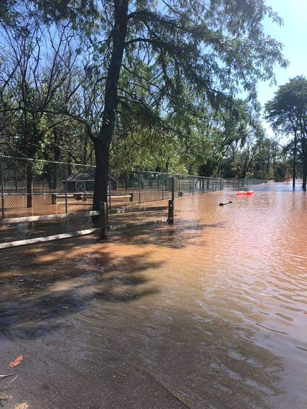 At flood-prone zoo in Piscataway, NJ, animals’ fate unclear as winter arrives