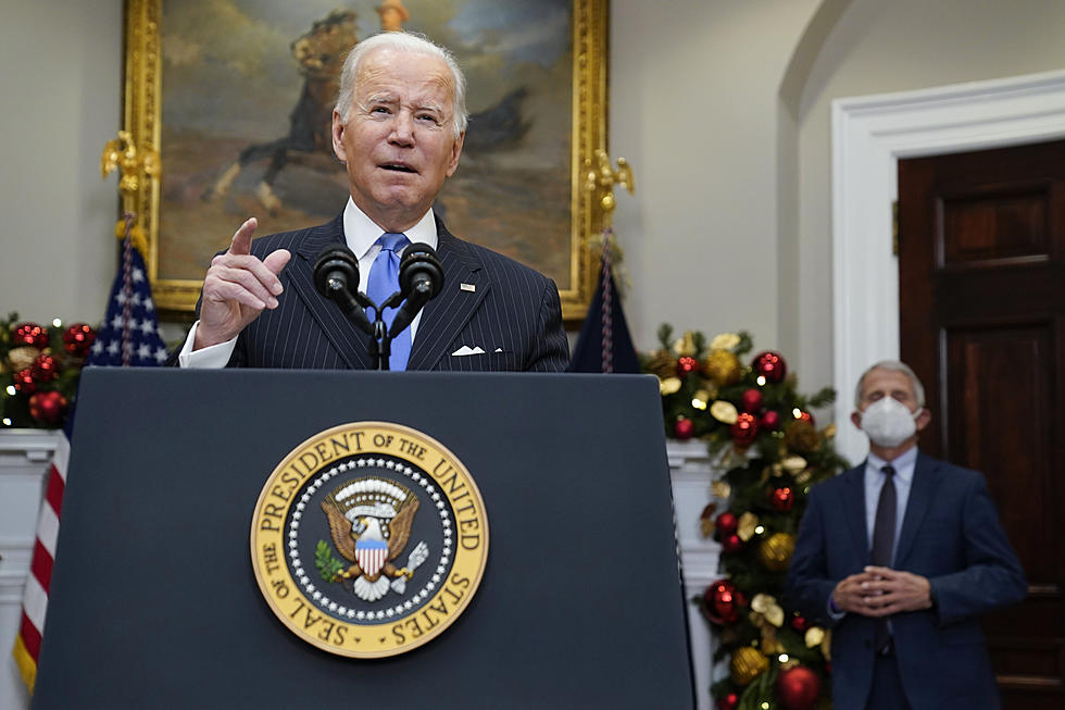 New variant cause for concern, not panic, Biden tells US