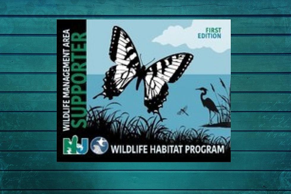 To manage NJ wildlife areas, DEP asking public for donations