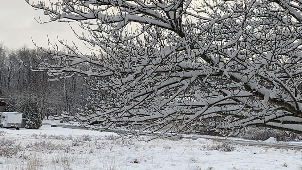 Your photos of snow and road conditions in NJ