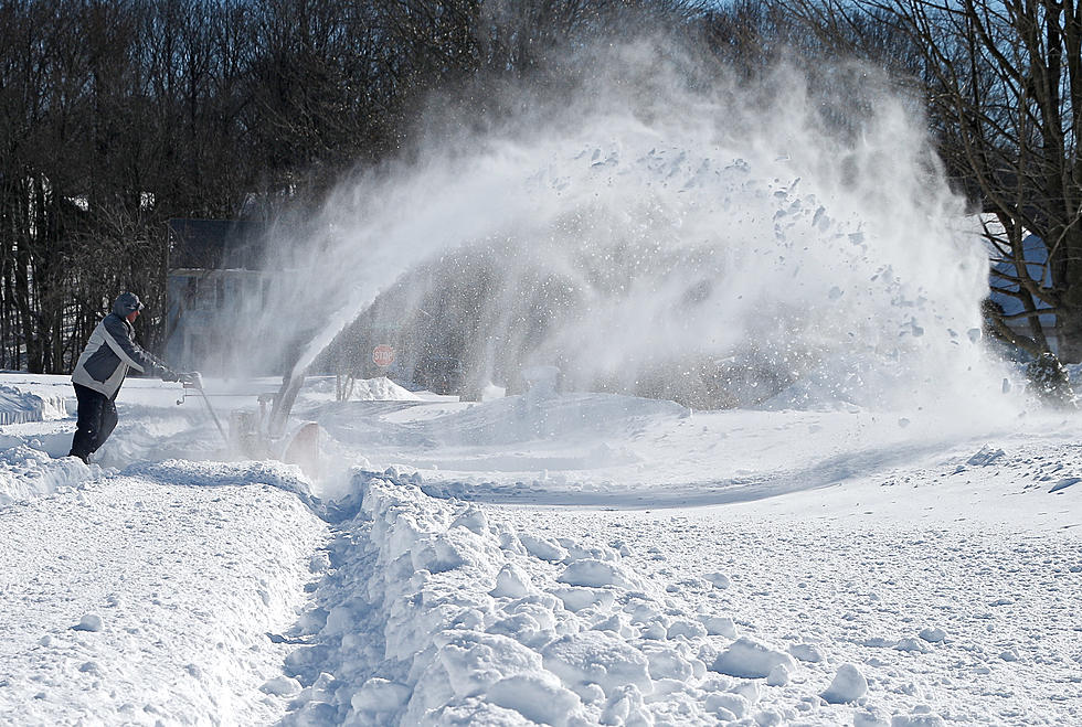 Spadea needs help! Where to find local snow removal services