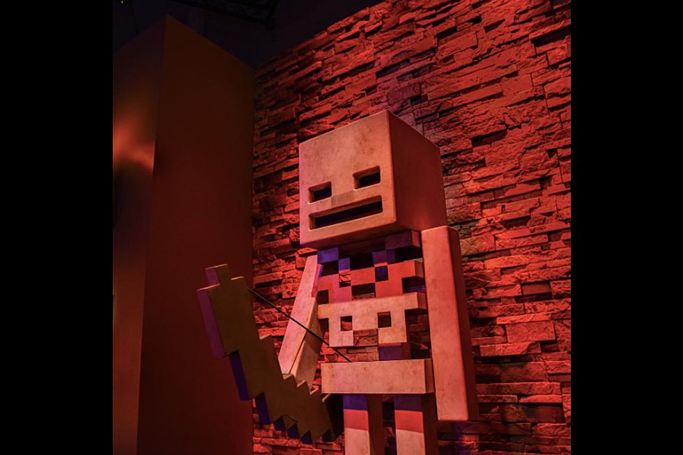 Minecraft gaming exhibit coming to NJ Liberty Science Center