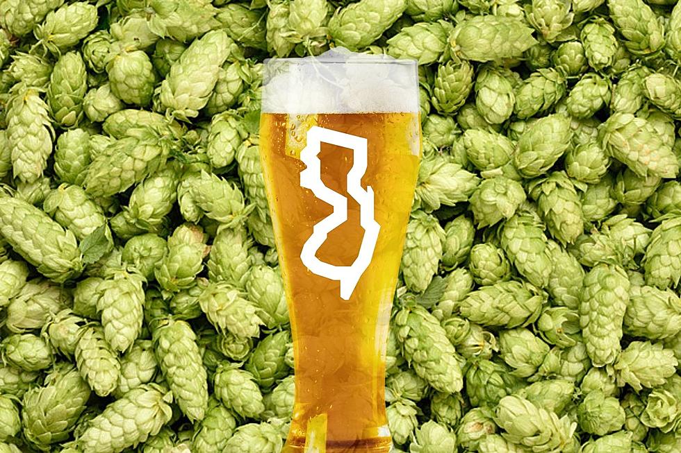 NJ-grown hops are the newest local beer trend — but it takes time