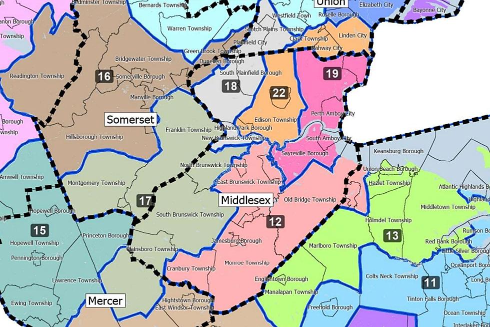 Monmouth, Morris, Middlesex center of final redistricting hearing