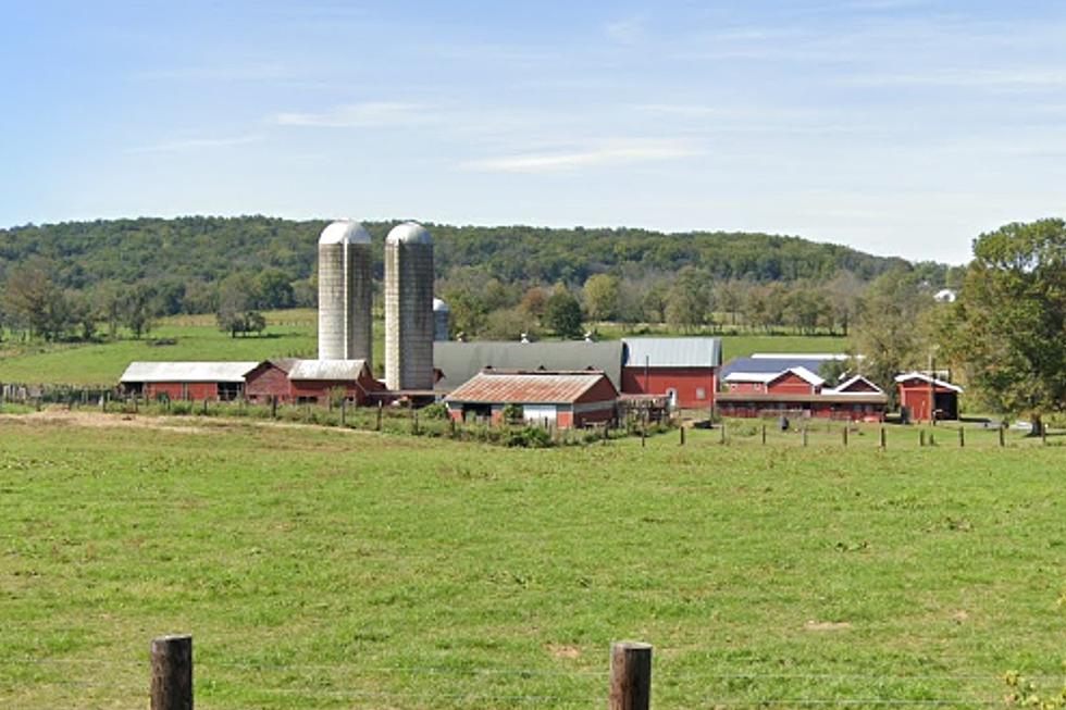 Readington, NJ buffalo farm to be featured on FX detective series