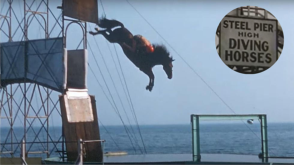 Looking Back on Atlantic City’s Diving Horses