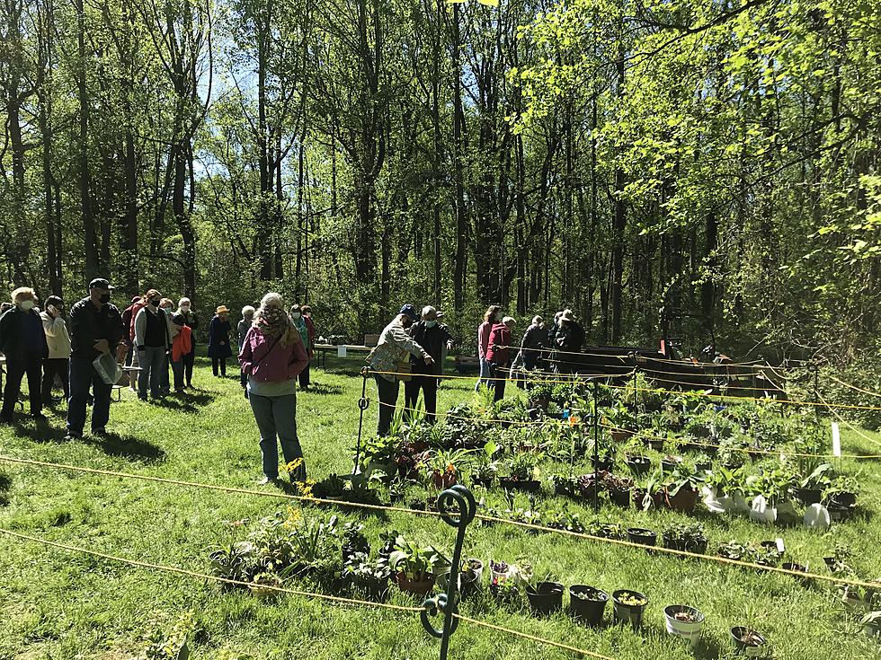 Mix up your garden: Swap plants next month at a Monmouth County park