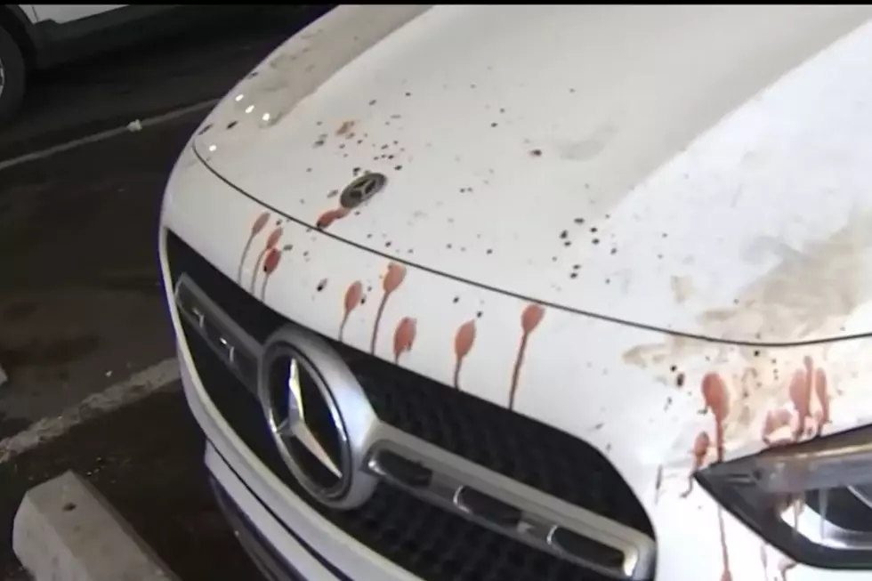 Blood gets spattered on cars in North Arlington, NJ garage —how?