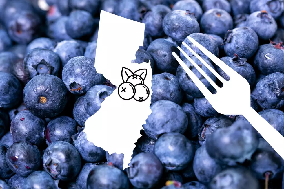 Celebrate NJ Blueberries With a Tasty Blueberry Sour Cream Cake