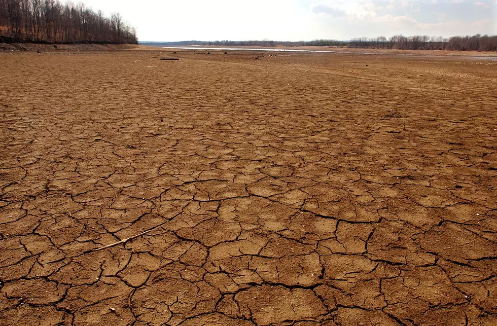 Hot, dry, sunny New Jersey: Is a possible drought shaping up?