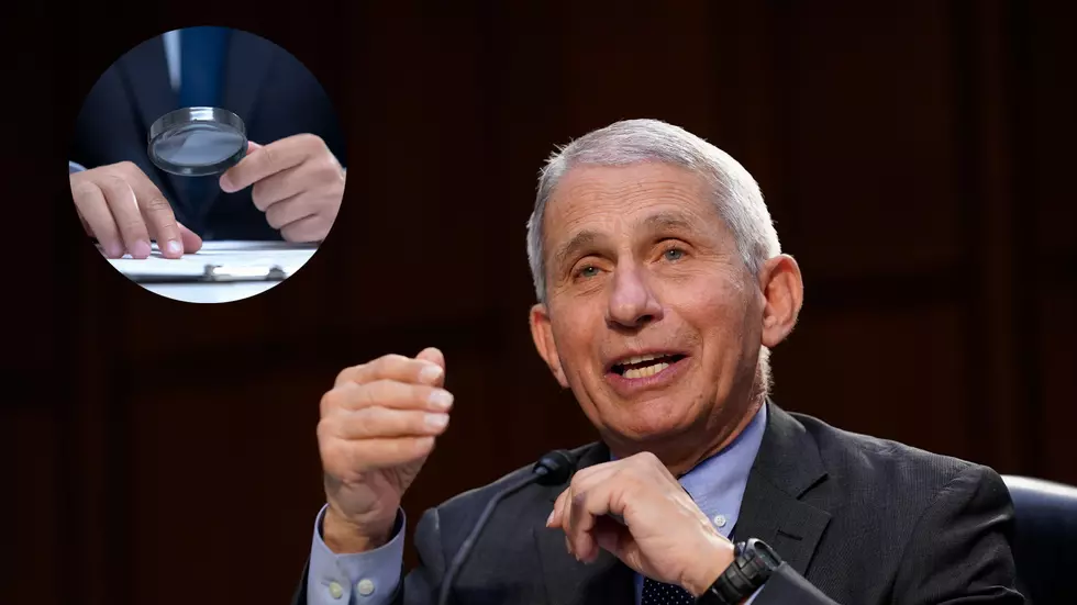 NJ Congressman vows to investigate Dr. Fauci as he announces he’s leaving (Opinion)