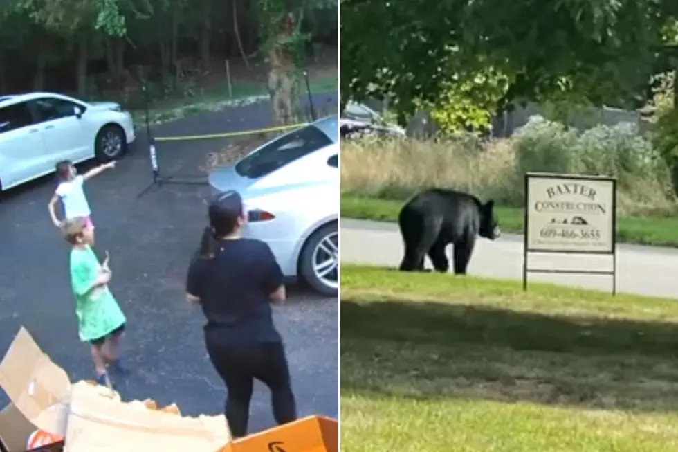 Bear sightings reported at Princeton, NJ homes, school caught on video