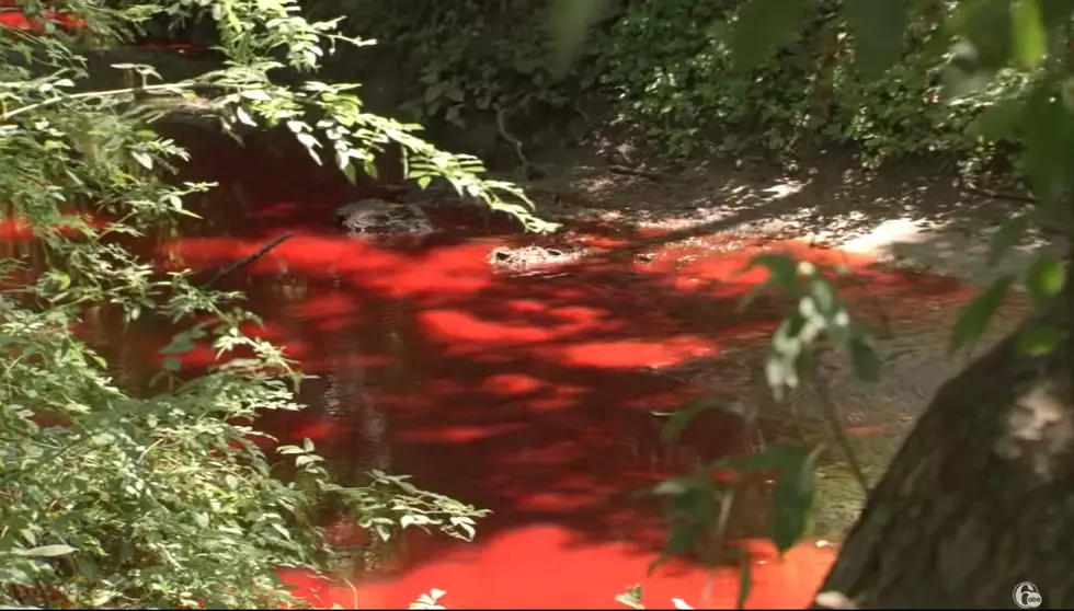 Company caught red-handed after waterway turns strange color