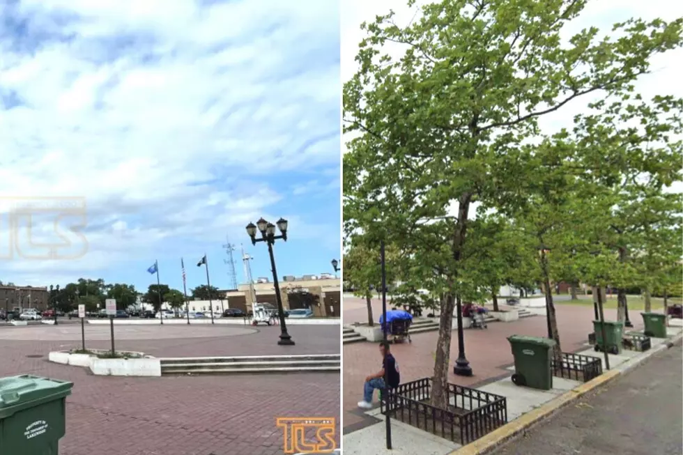 Lakewood, NJ felled its town square trees to drive away the homeless