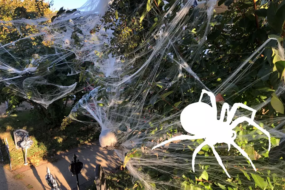 Hazards of this popular Halloween decoration and why you shouldn’t use it in NJ