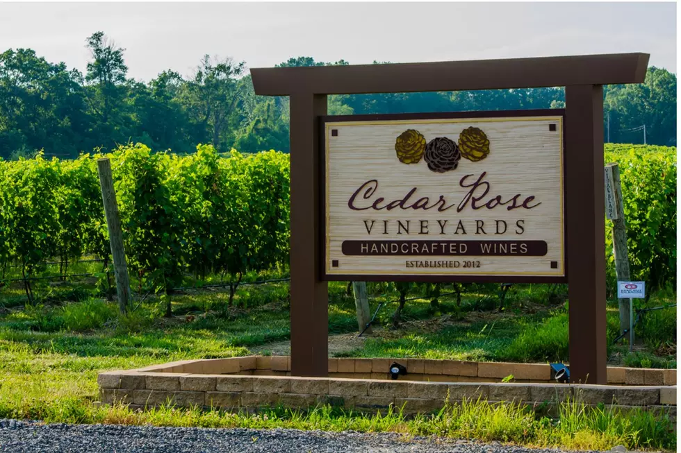Millville, NJ vineyard hosts first ever ‘Hallowine’ event next weekend