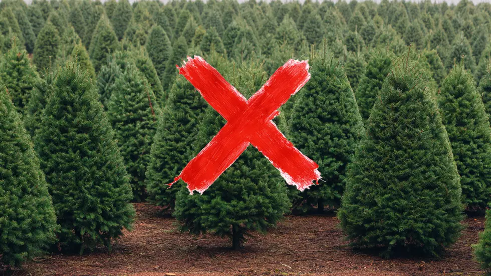 10 sensible reasons NJ prefers fake Christmas trees over real