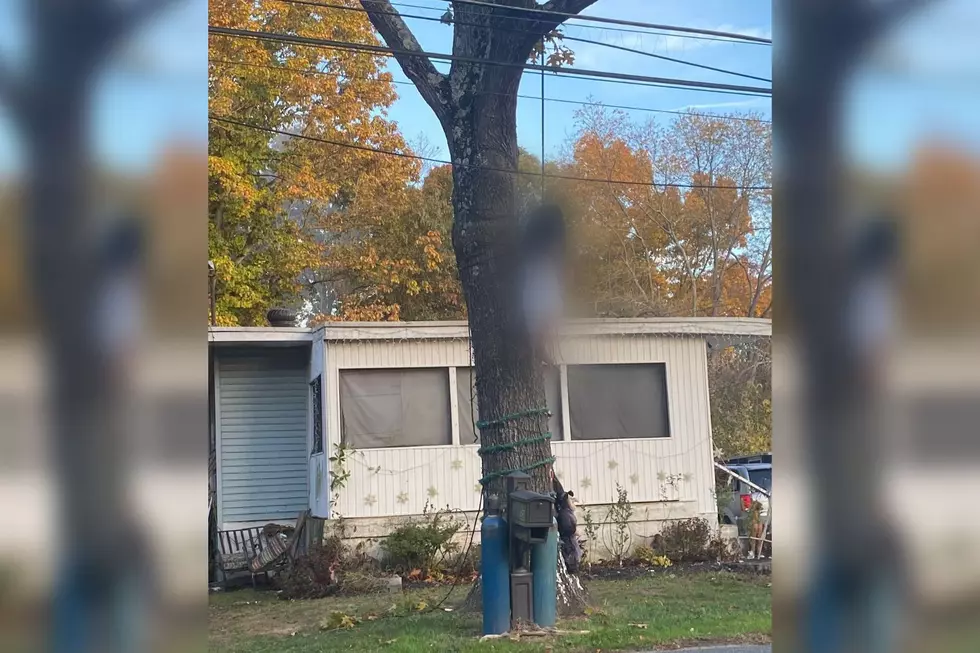Black girl doll hanging from noose at NJ house prompts investigation