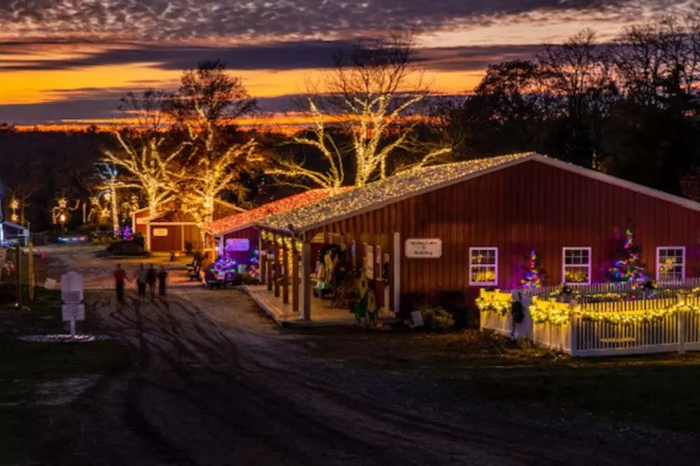 One night only at NJ farm: Autism-friendly free holiday light spectacular