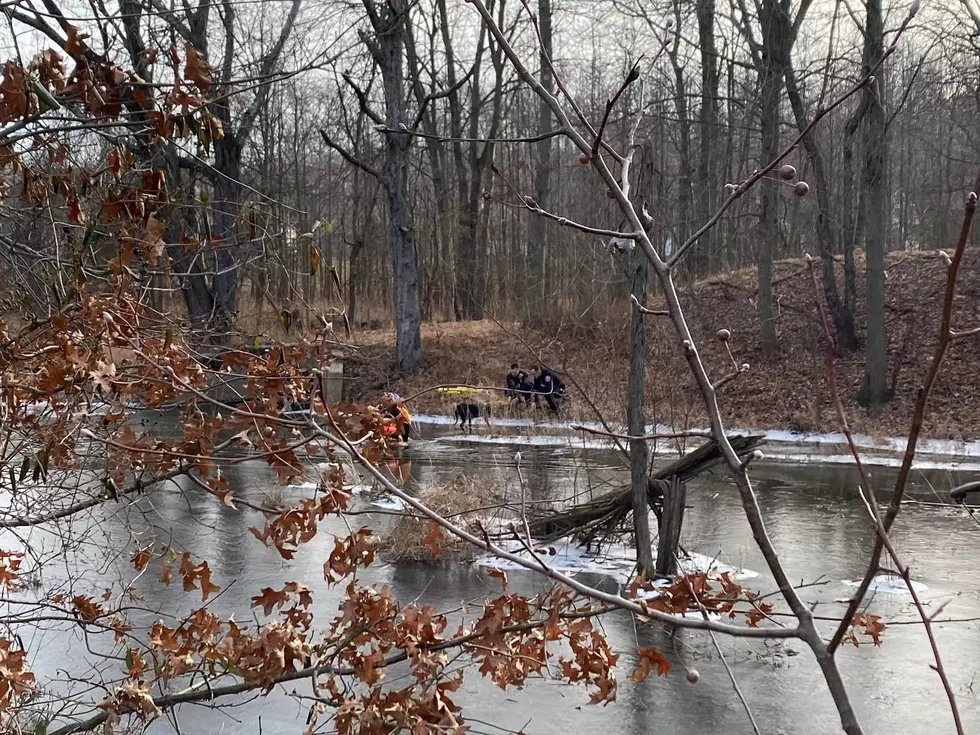 Firefighters brave a frigid West Windsor, NJ lake to save a dog