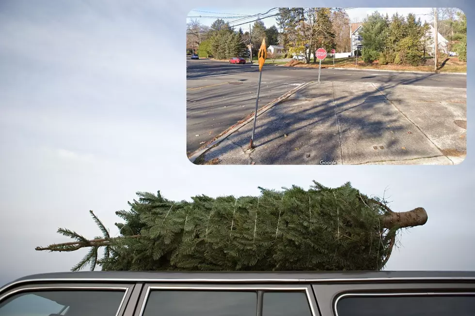 Insane – Driver with Xmas tree on his roof flies into rage in West Windsor, NJ