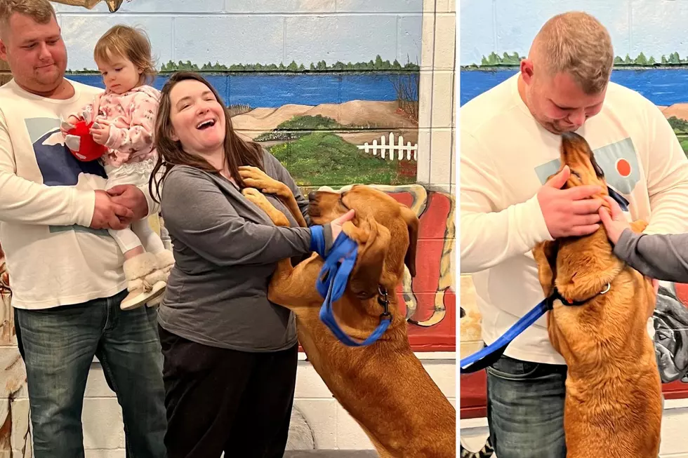 Family reunites with long-lost dog trapped by NJ animal hoarders